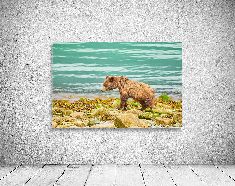 Alaskan Shore Wall Preview