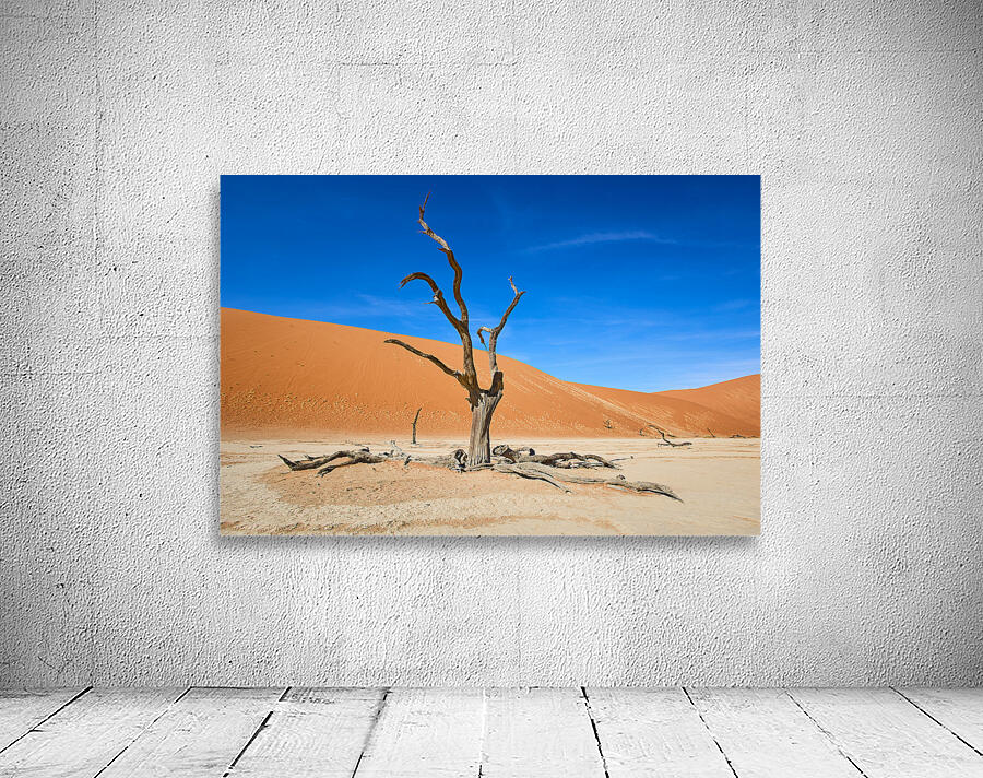 Deadvlei Aperçu sur mur
