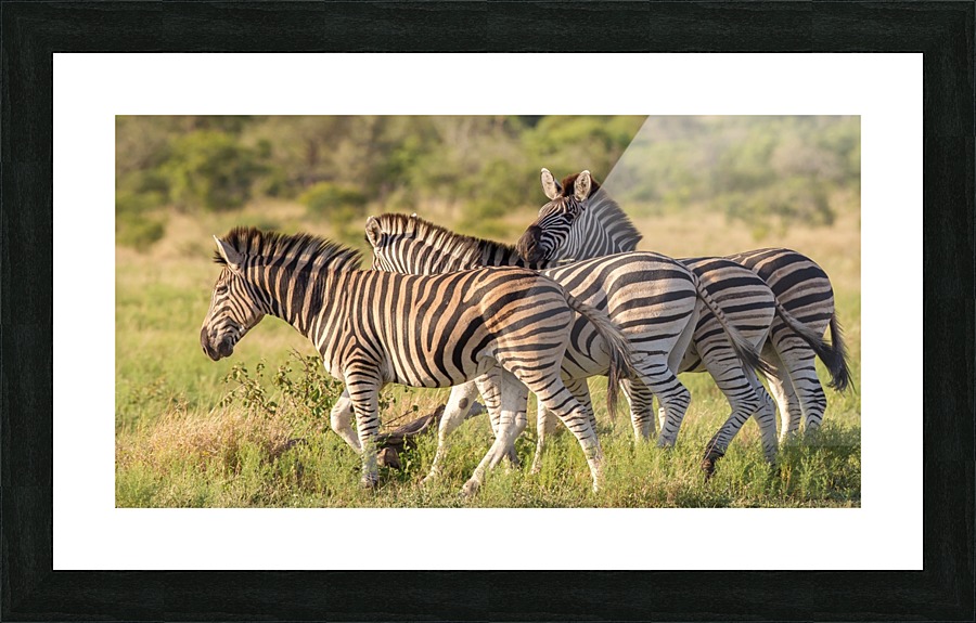 I SEE YOU Picture Frame print