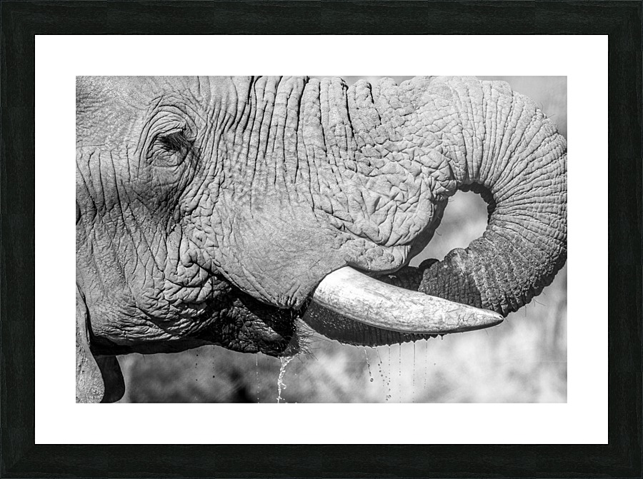 THIRSTY Picture Frame print