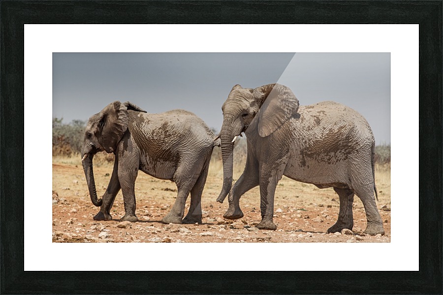 A QUICK SPLASH Picture Frame print