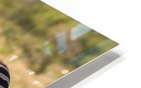 I SEE YOU HD Metal print