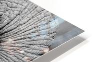 THIRSTY HD Metal print