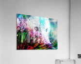 Metamorphose Acrylic Print
