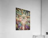 Enracinenee Acrylic Print