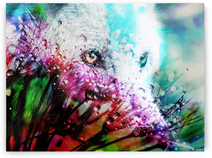 Metamorphose by   Graine de lune   Mahine