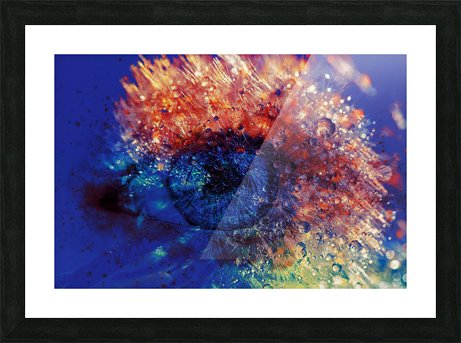Vision Picture Frame print