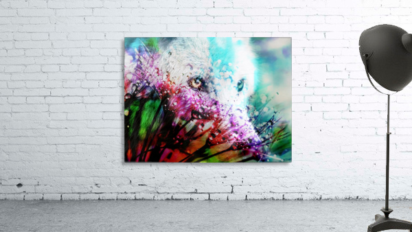 Metamorphose Wall Preview