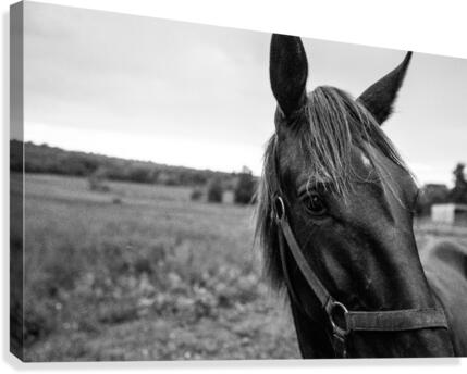 G R I T Canvas Print