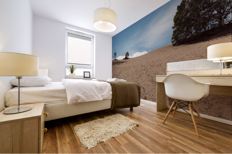 Dunes de Tadoussac Mural print