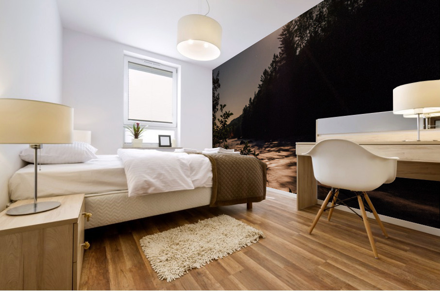 Rivire Ouareau Mural print