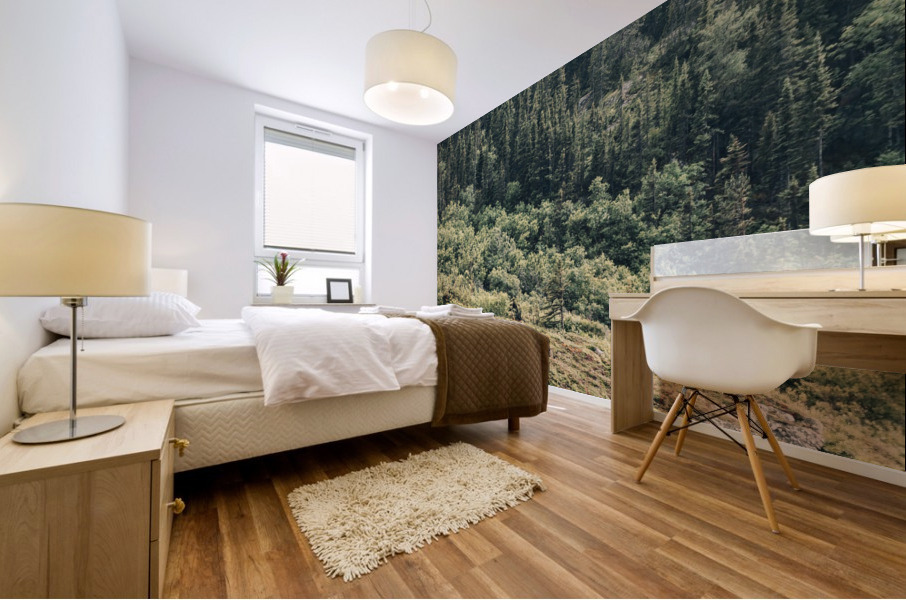 Foret du fjord Mural print