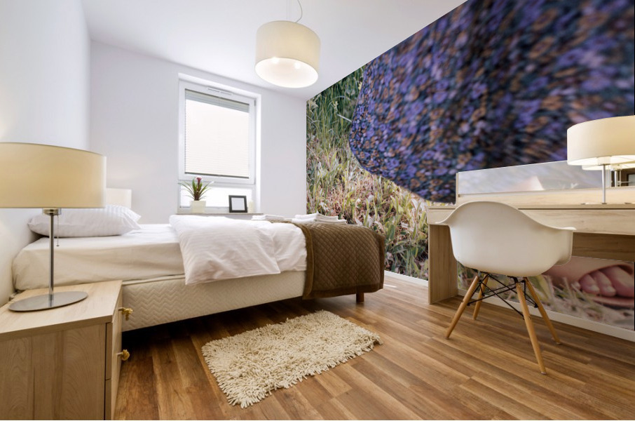 Bise de brise Mural print
