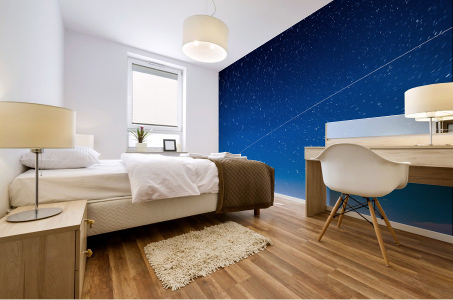 Station Spatiale Internationale Mural print