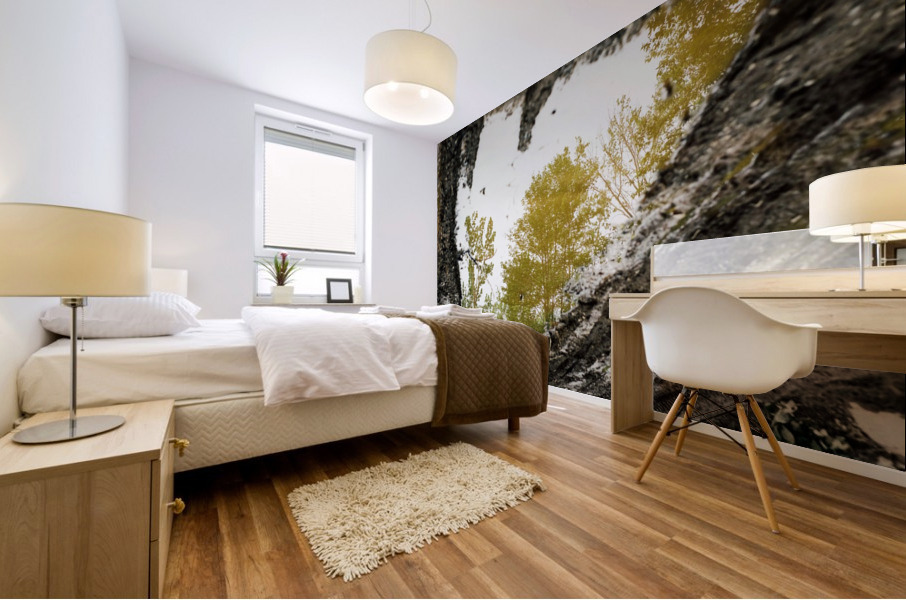 Flaque Mural print