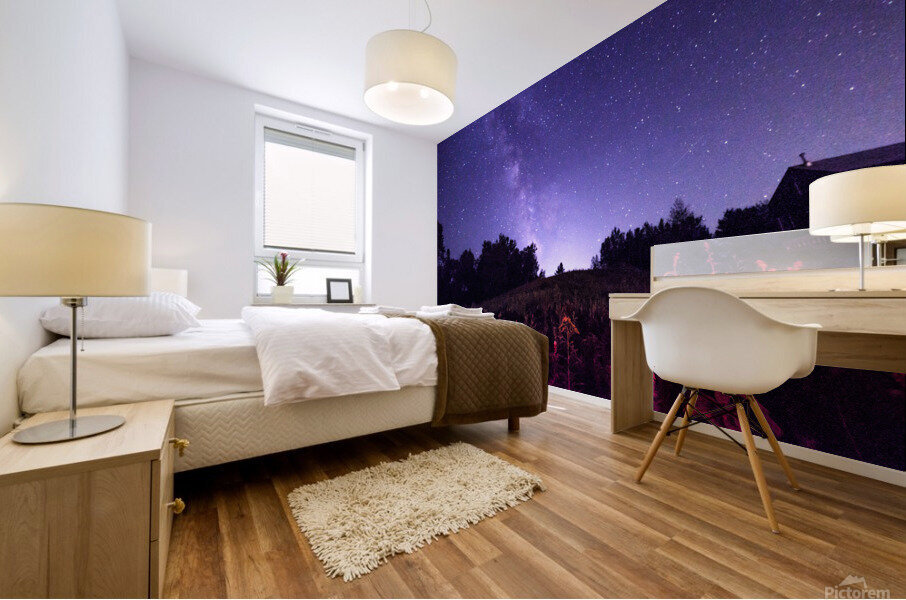 La bootlegger detoiles Mural print