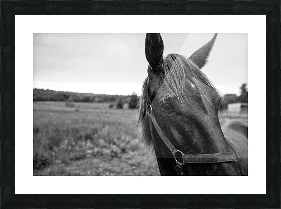 G R I T Picture Frame print