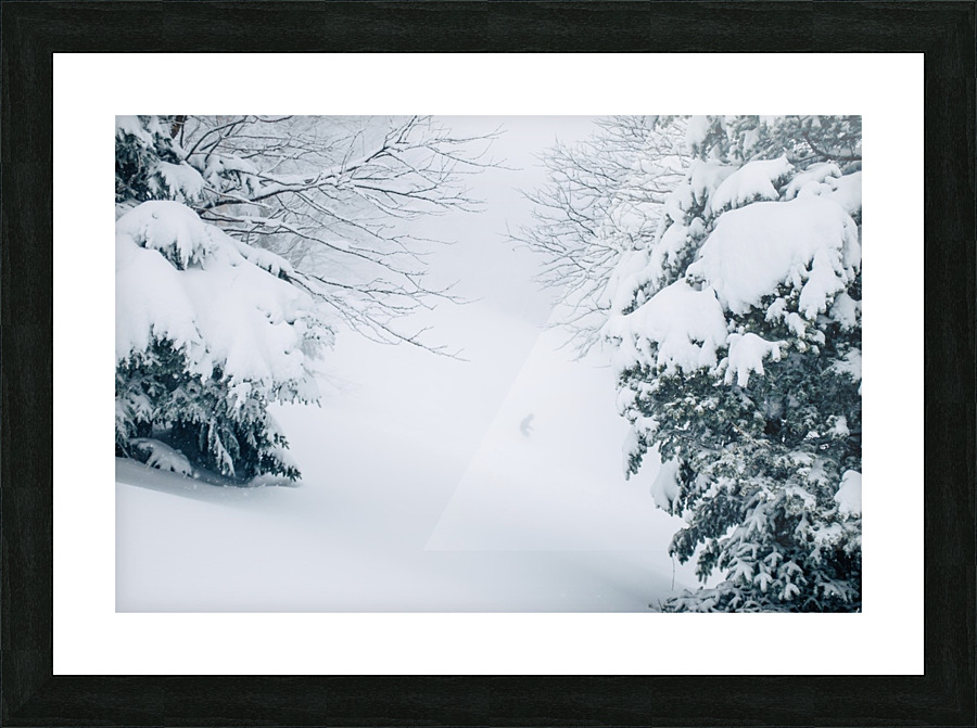 Entre les arbres Picture Frame print