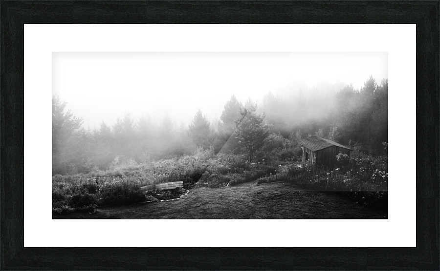 Brume matinale Picture Frame print
