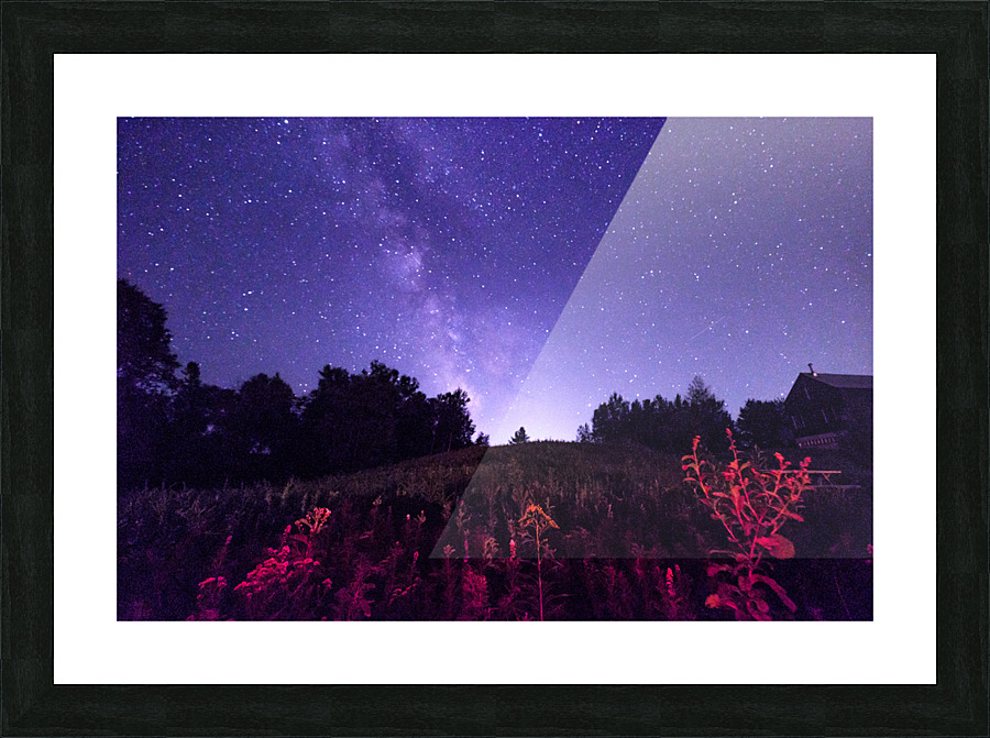 La bootlegger detoiles Picture Frame print