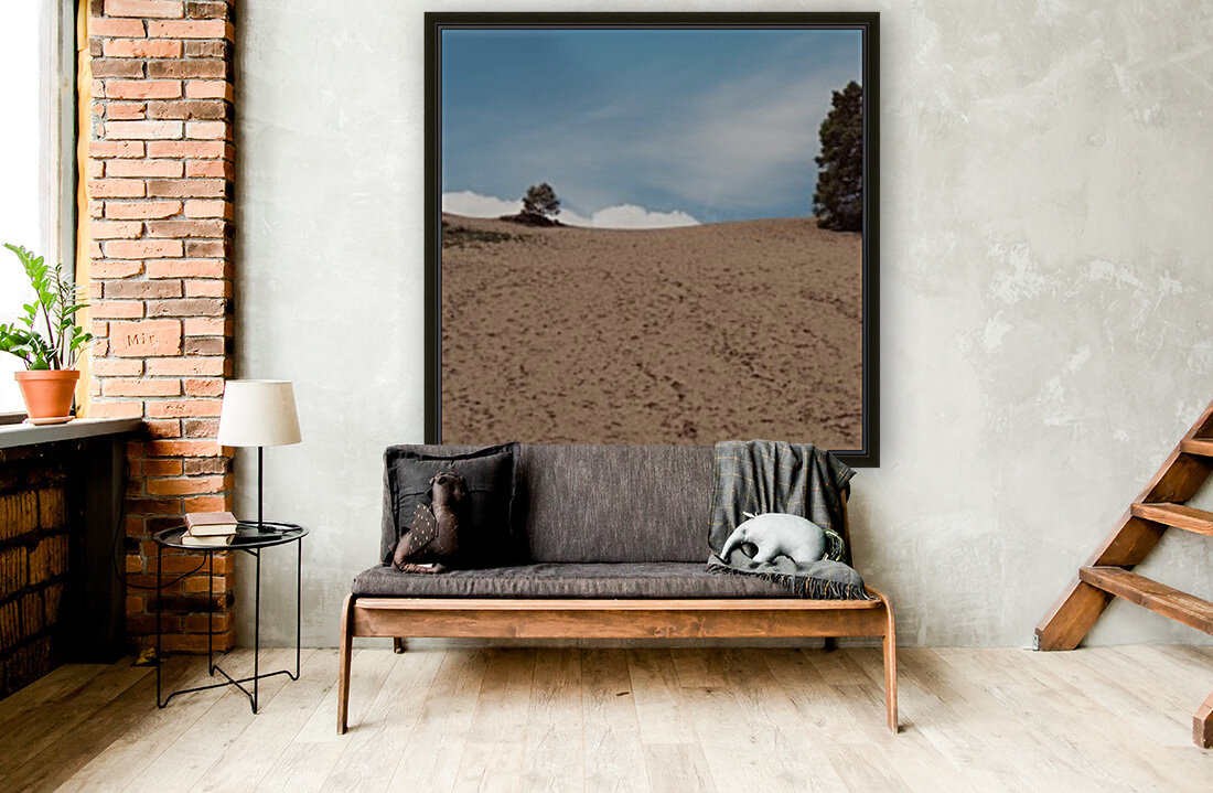 Dunes de Tadoussac Reproduction