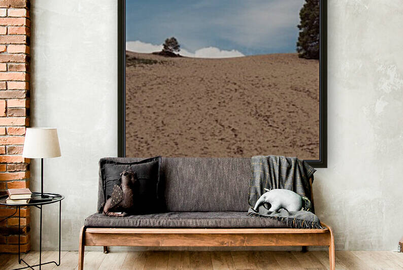 Dunes de Tadoussac Reproduction