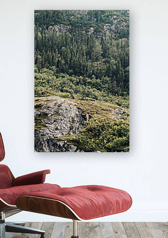 Foret du fjord Reproduction