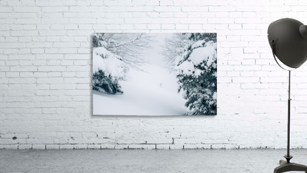 Entre les arbres Wall Preview