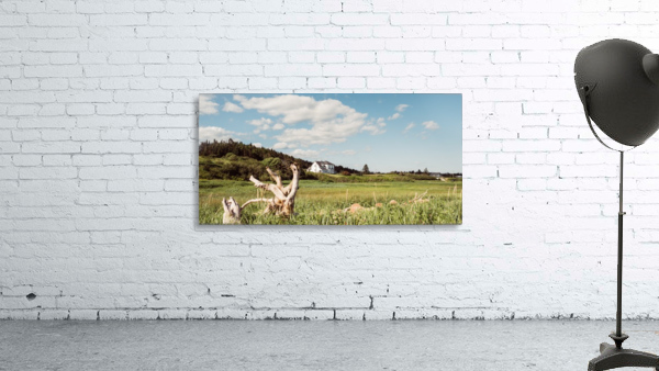 Waterside Beach Wall Preview
