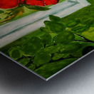 Summer day Metal print