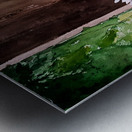 Summer day Metal print