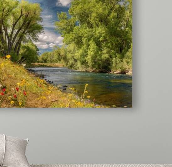 Harmony of Nature: A Sunlit Symphony by the River by yousra