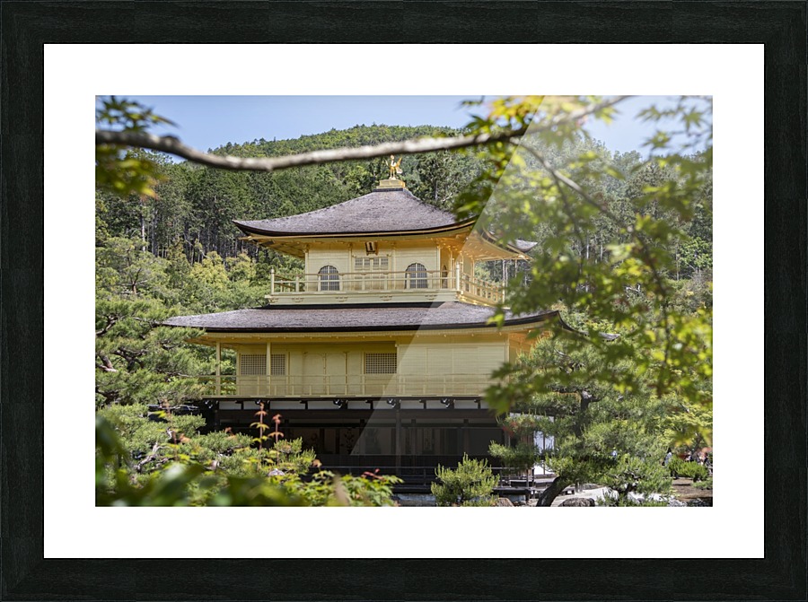 Kinkakuji Picture Frame print