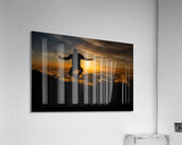 Ascension Acrylic Print