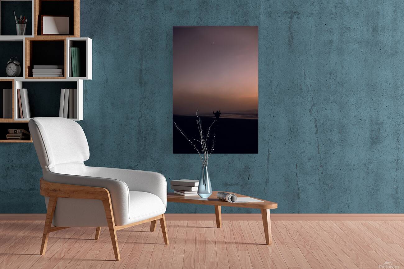 Coastal Solitude Reproduction