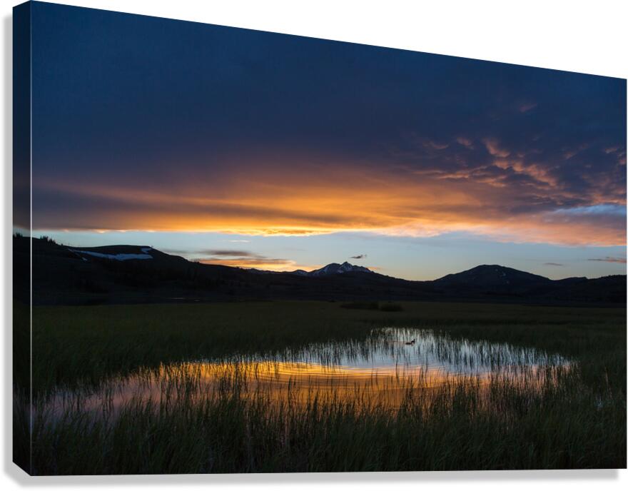 Spring sunset Swan Lake Canvas Print
