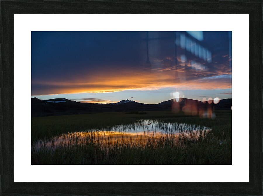 Spring sunset Swan Lake Picture Frame print