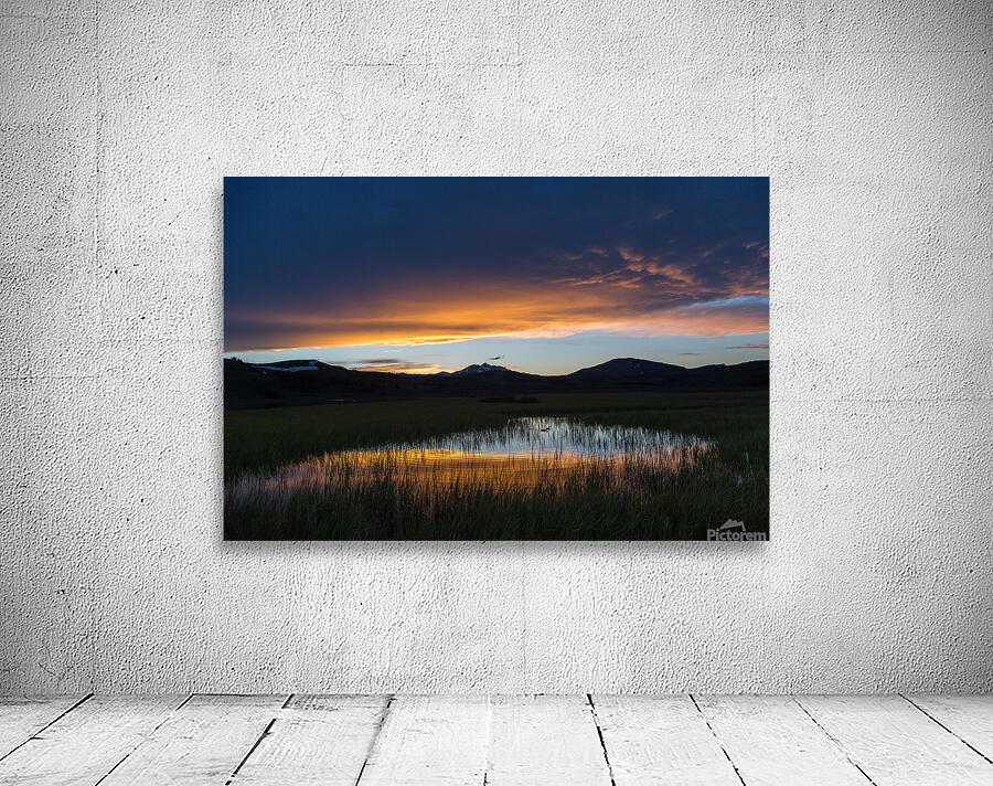Spring sunset Swan Lake Wall Preview