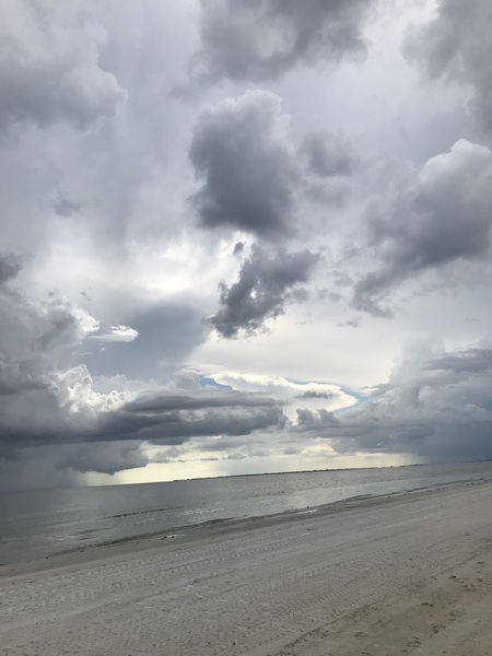 FloridaTide Digital Download