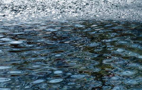 ChatPond6 Digital Download
