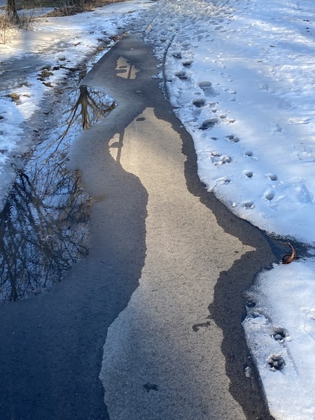 Winterwalk2 Digital Download