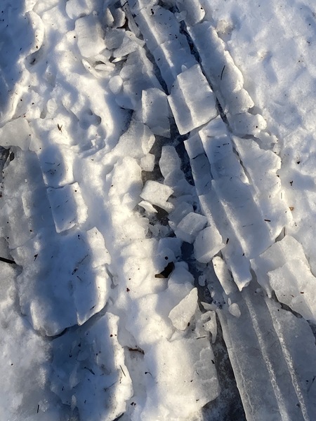 WinterWalk3 Digital Download