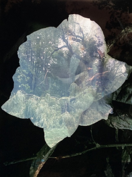 RoseHolds Digital Download