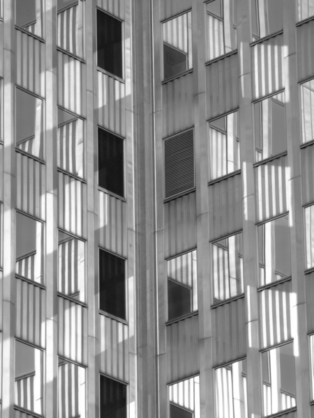 Point Condos Digital Download