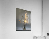 5Alive Acrylic Print