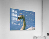 SwanReflects Acrylic Print