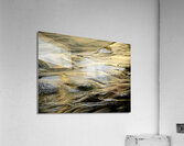 LaJollaGold Acrylic Print
