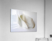 PaperSculpt2 Acrylic Print