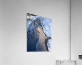 Winterwalk2 Acrylic Print