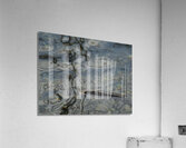 ChatPond5 Acrylic Print
